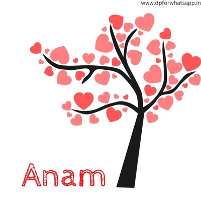 anam name dp anam name dp