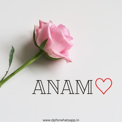 anam name dp anam name dp