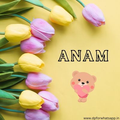 whatsapp anam name dp whatsapp anam name dp