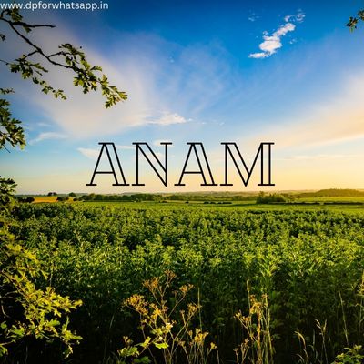 anam name dp anam name dp