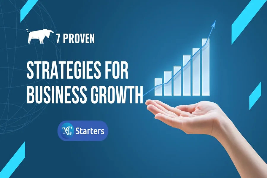 Business Expansion Strategies