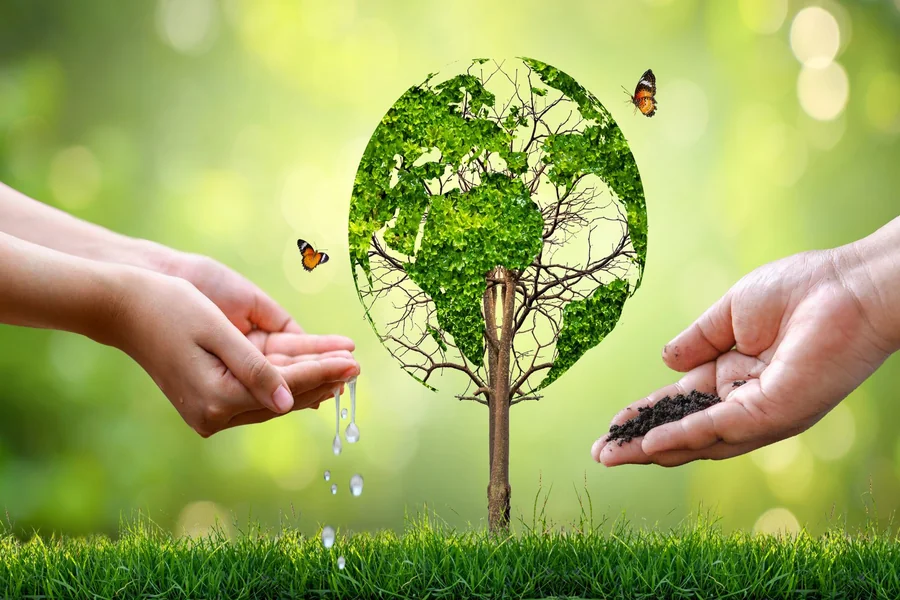 Environmental Challenges Require Immediate Action Now 